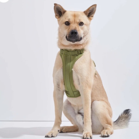 Wild One Dog Harness - Moss Green | Limited Edition | Size S | NWT - Picture 2 of 8